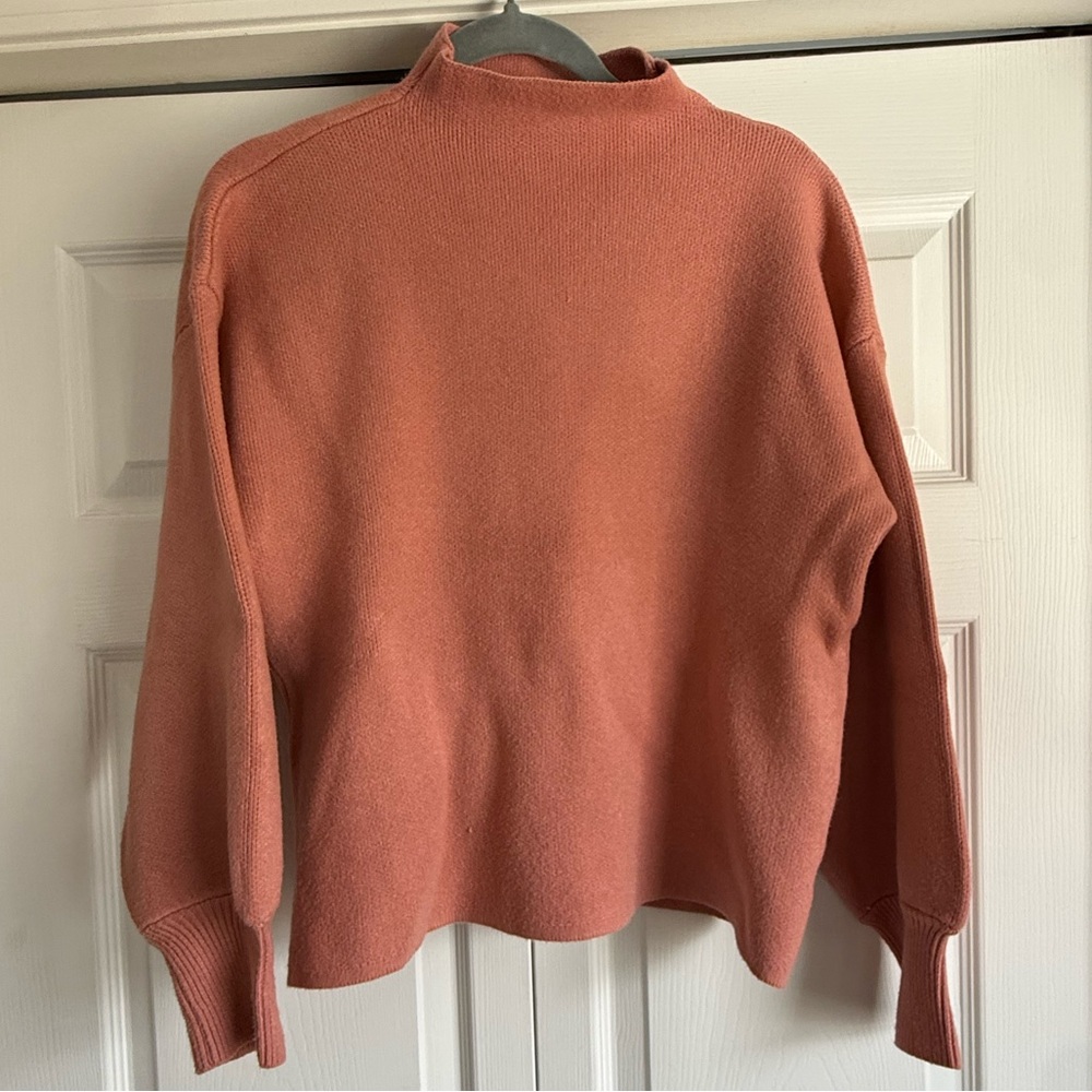 Vici Coral Cowl Neck Pullover Sweater
